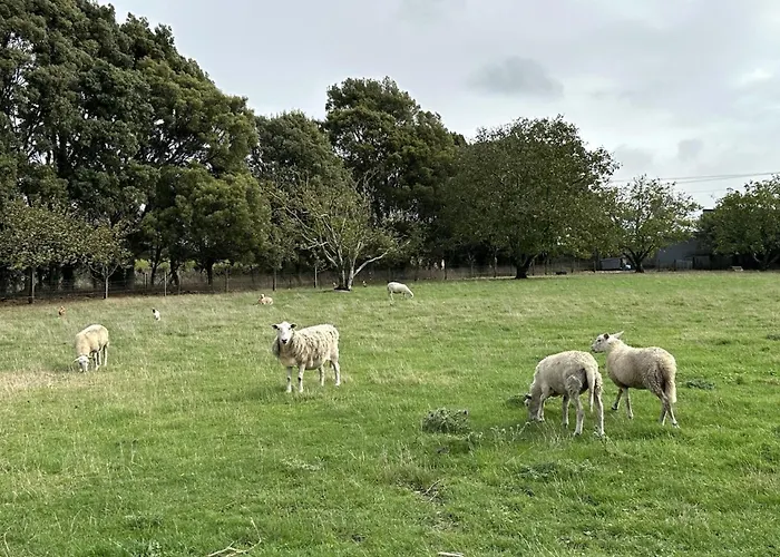 Country Retreats On Ranzau 8