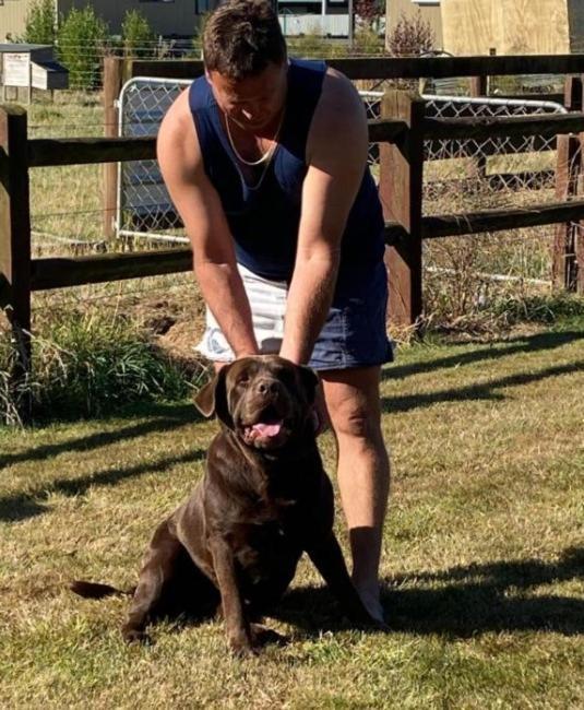 Country Retreats On Ranzau 8 *